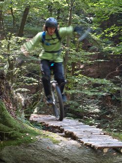 Roter Hüpfer Roter Hüpfer