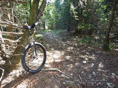 steiniger Weg steiniger Weg