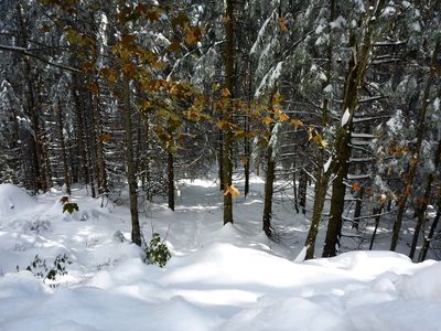 Märchenwald Märchenwald