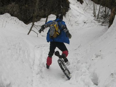 Im Hohlweg Im Hohlweg