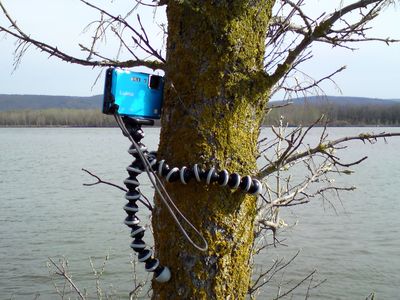 Gorilla Pod Gorilla Pod