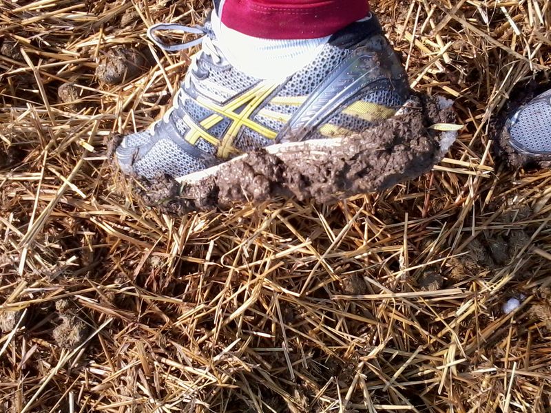 Schlamm auf den Schuhen Schlamm auf den Schuhen