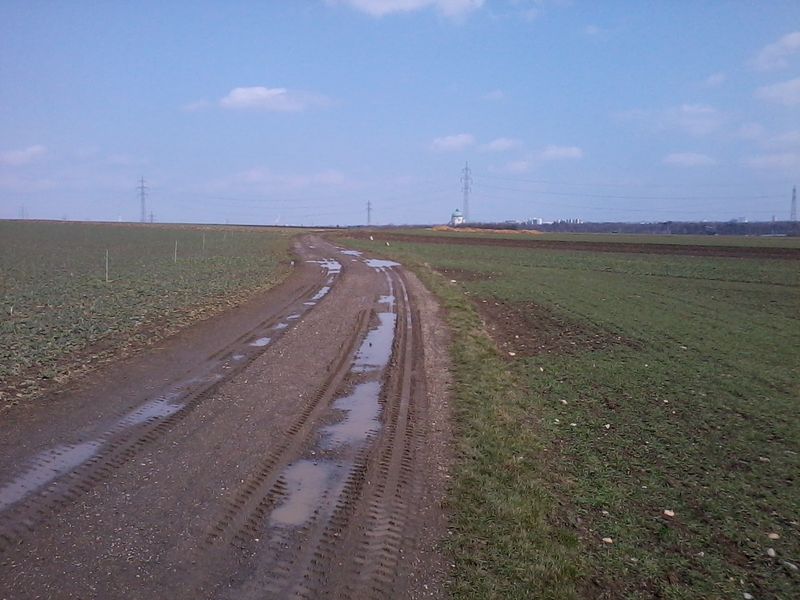 Schaut gar nicht so schlimm aus Schaut gar nicht so schlimm aus