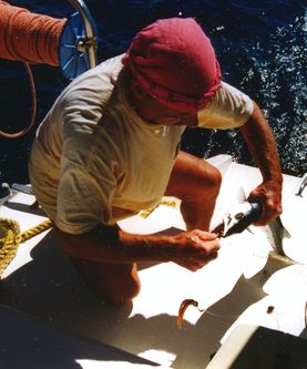 Barracuda gefangen Barracuda gefangen