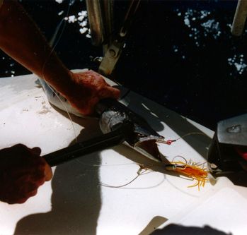 Ein Schlag mit der Winschkurbel Ein Schlag mit der Winschkurbel