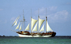 Kreuzfahrt Segler Kreuzfahrt Segler