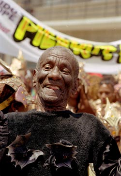 Fledermaus Fledermaus