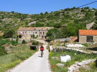 ZENA GLAVA ZENA GLAVA