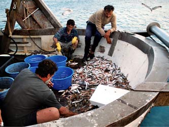 Fischerboot Fischerboot