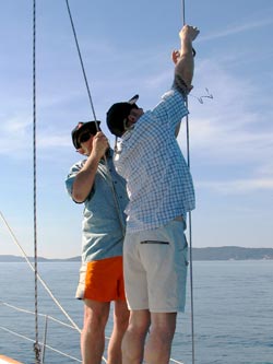 Werner, Wolfgang Werner, Wolfgang