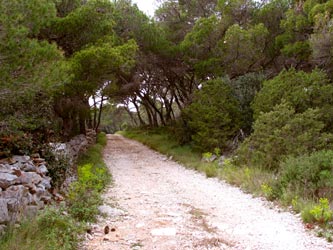 Weg ins Ungewisse Weg ins Ungewisse