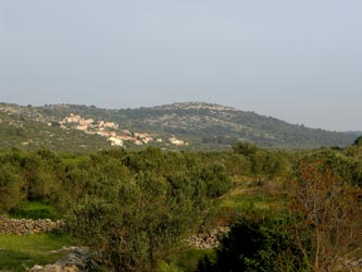 Zirje im Hintergrund Zirje im Hintergrund