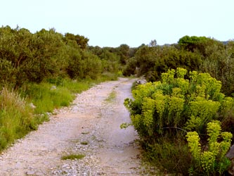 Noch zwei Kilometer Noch zwei Kilometer