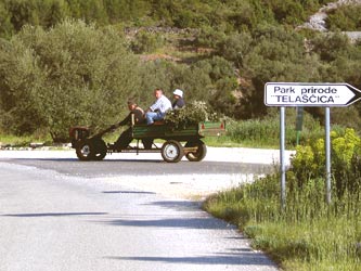 Olivenbauern Olivenbauern