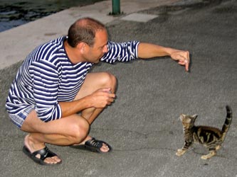 Katzenfreund Katzenfreund