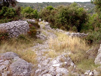 Abstieg zwischen Oliven Abstieg zwischen Oliven