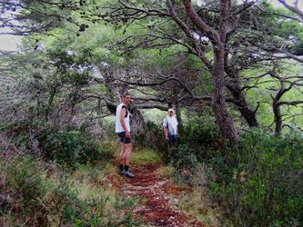 Alfred, Charly Alfred, Charly