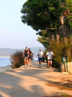 Morgenlauf Morgenlauf