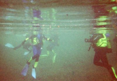 Bereit zum Abtauchen Bereit zum Abtauchen