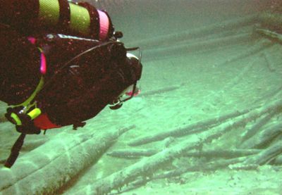 Nach rechts, zu den Baumstämmen Nach rechts, zu den Baumstämmen