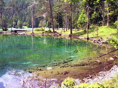 Rund um den See Rund um den See