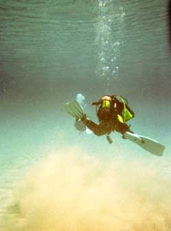 Sedimentnebel Sedimentnebel