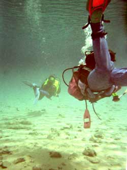 klares Wasser klares Wasser