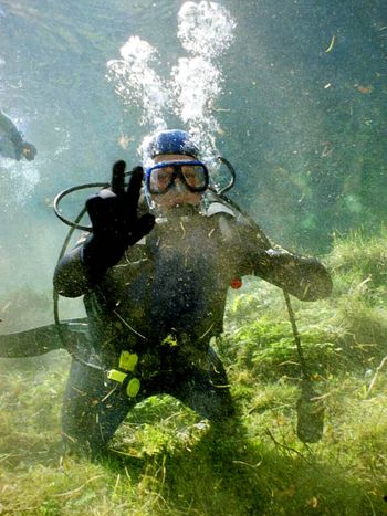 Alles in Ordnung Alles in Ordnung