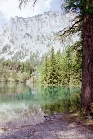 Grüner See Grüner See