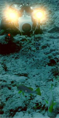 Günther mit seiner Video Kamera. Günther mit seiner Video Kamera.