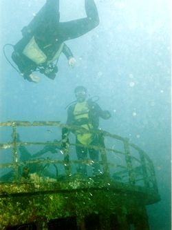 Halaveli Wrack. Halaveli Wrack.