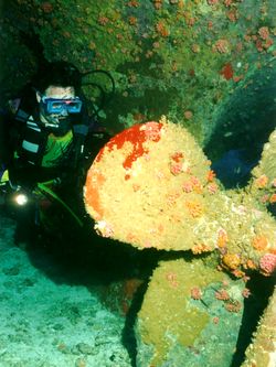 KUDA GIRI:Wrack Schiffschraube KUDA GIRI:Wrack Schiffschraube