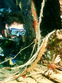 KUDA GIRI:Wrack Rotfeuerfisch KUDA GIRI:Wrack Rotfeuerfisch