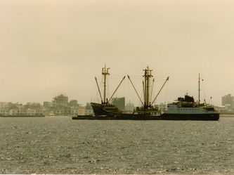 MALE: Skyline MALE: Skyline