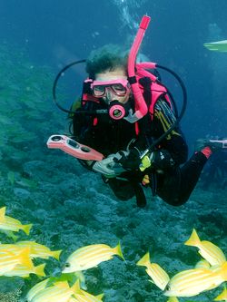 Renate unter Wasser Renate unter Wasser